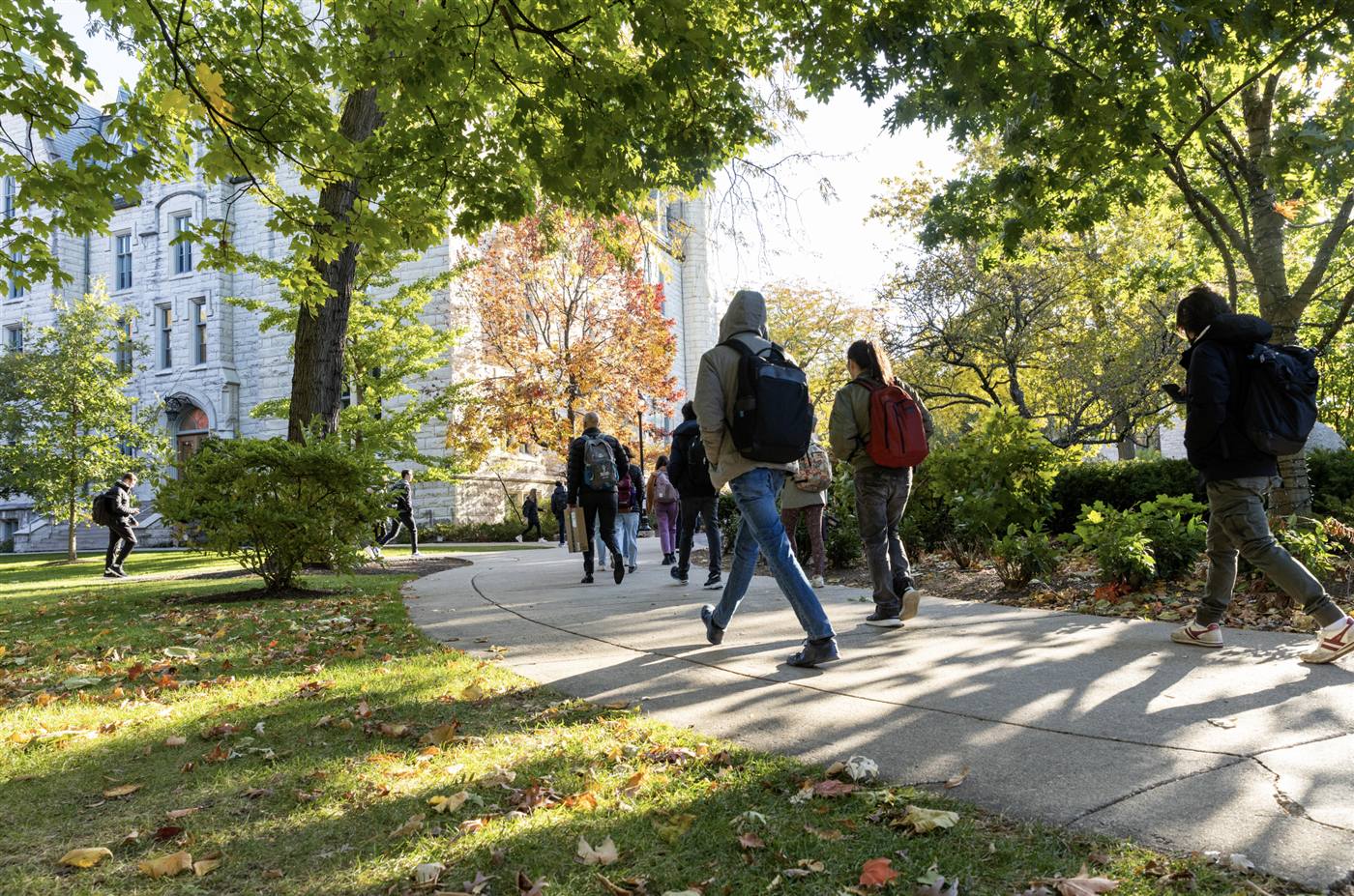 Students walking under autumn trees