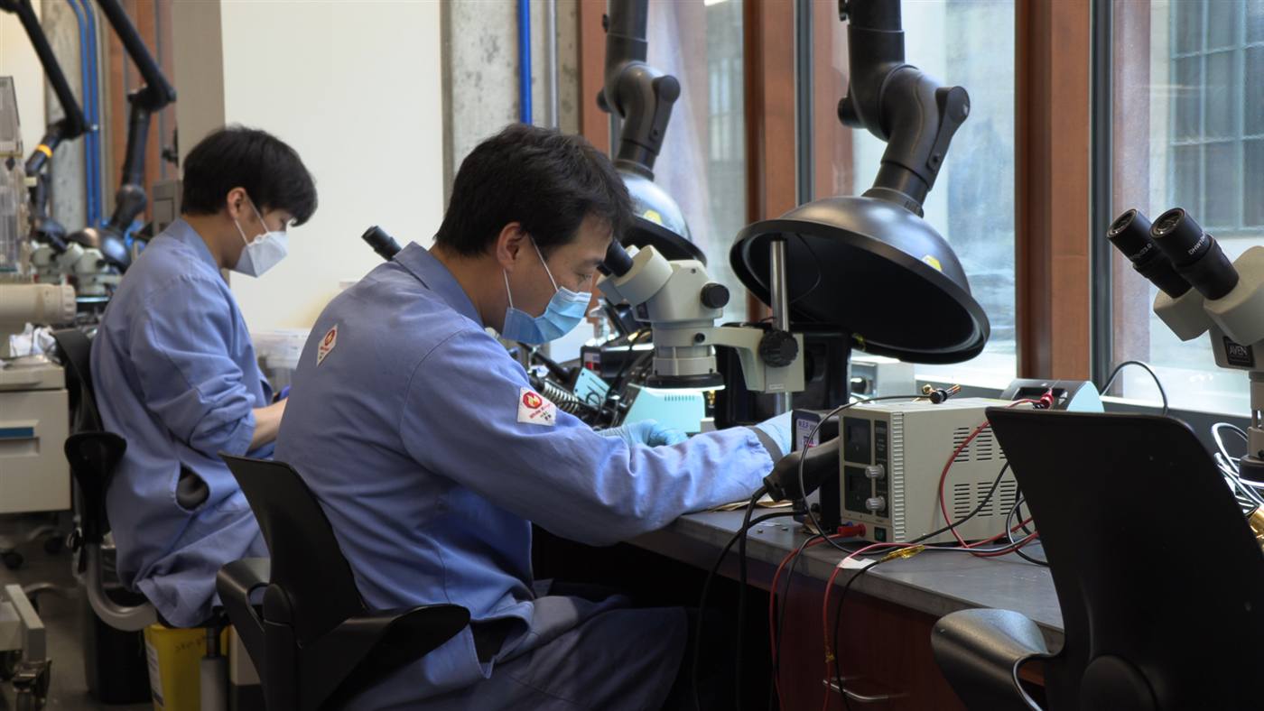 Researchers working at microscopes