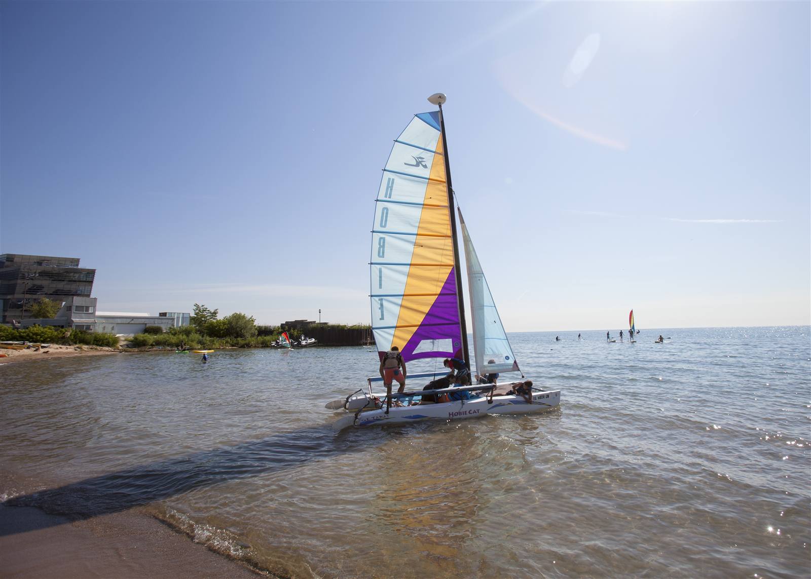 A purple-and-gold catamaran on Lake Michigan