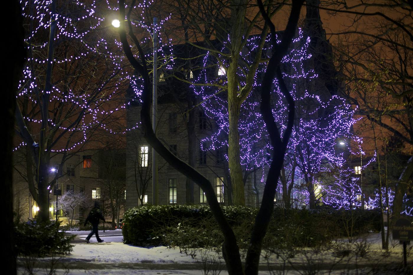 University Hall under snow at dusk, trees strung with purple lights