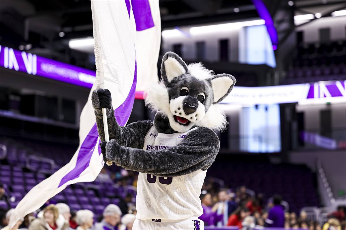 Willie the Wildcat waving a flag in the arena